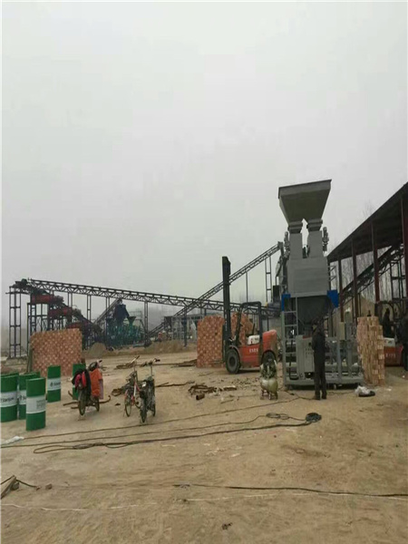 糧站玉米輸送皮帶機